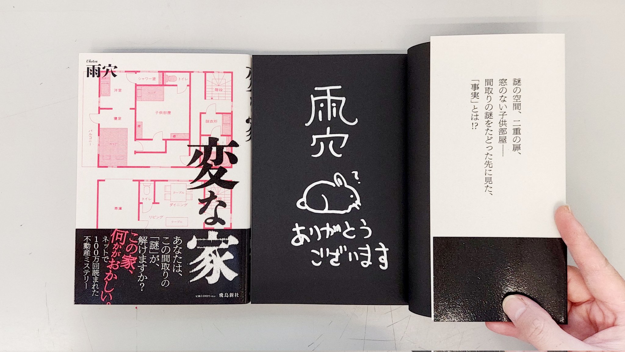年間定番 雨穴 変な家 変な絵 2冊セット ecousarecycling.com