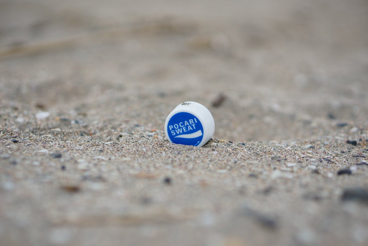 toshib9's tweet image. 海のゴミ達