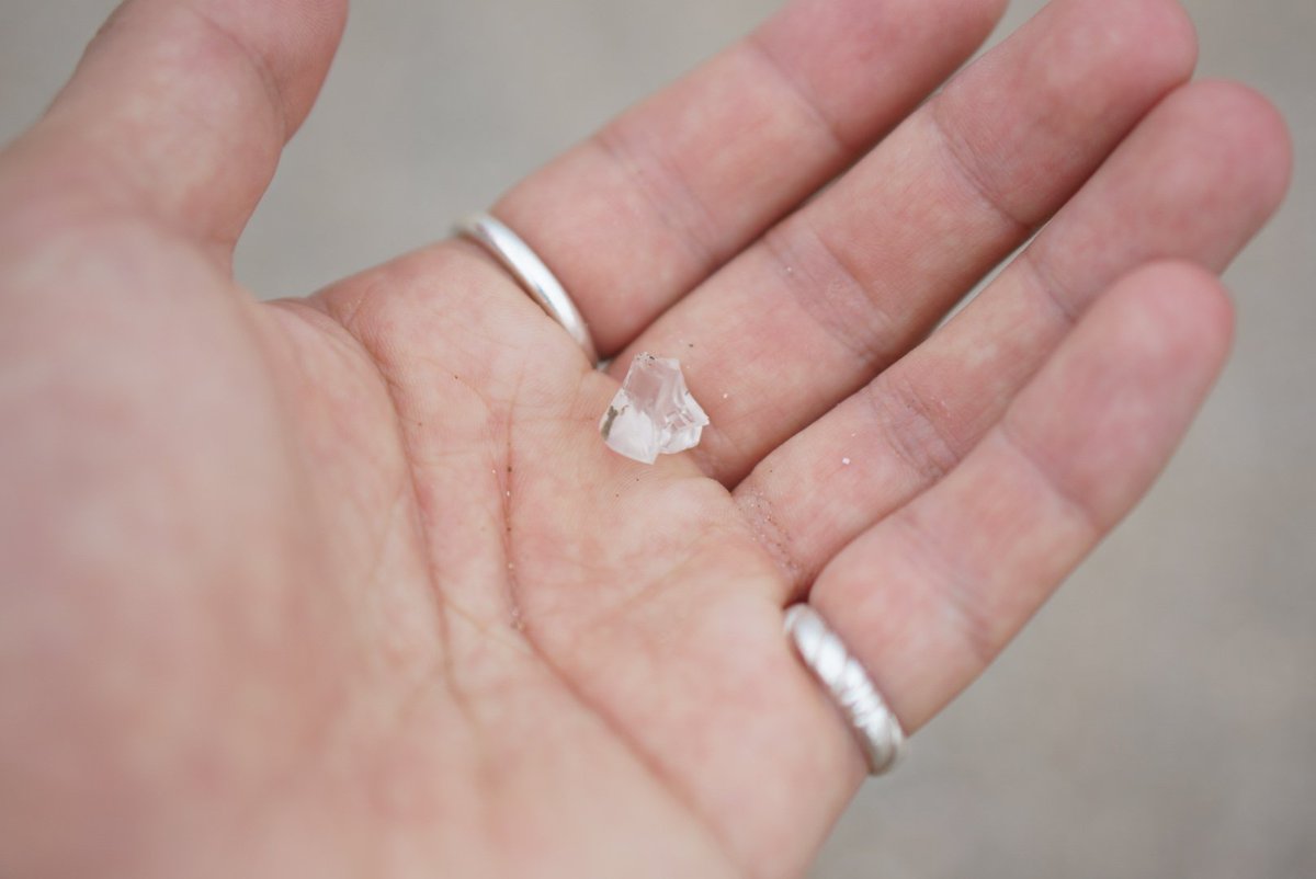 toshib9's tweet image. 海のゴミ達