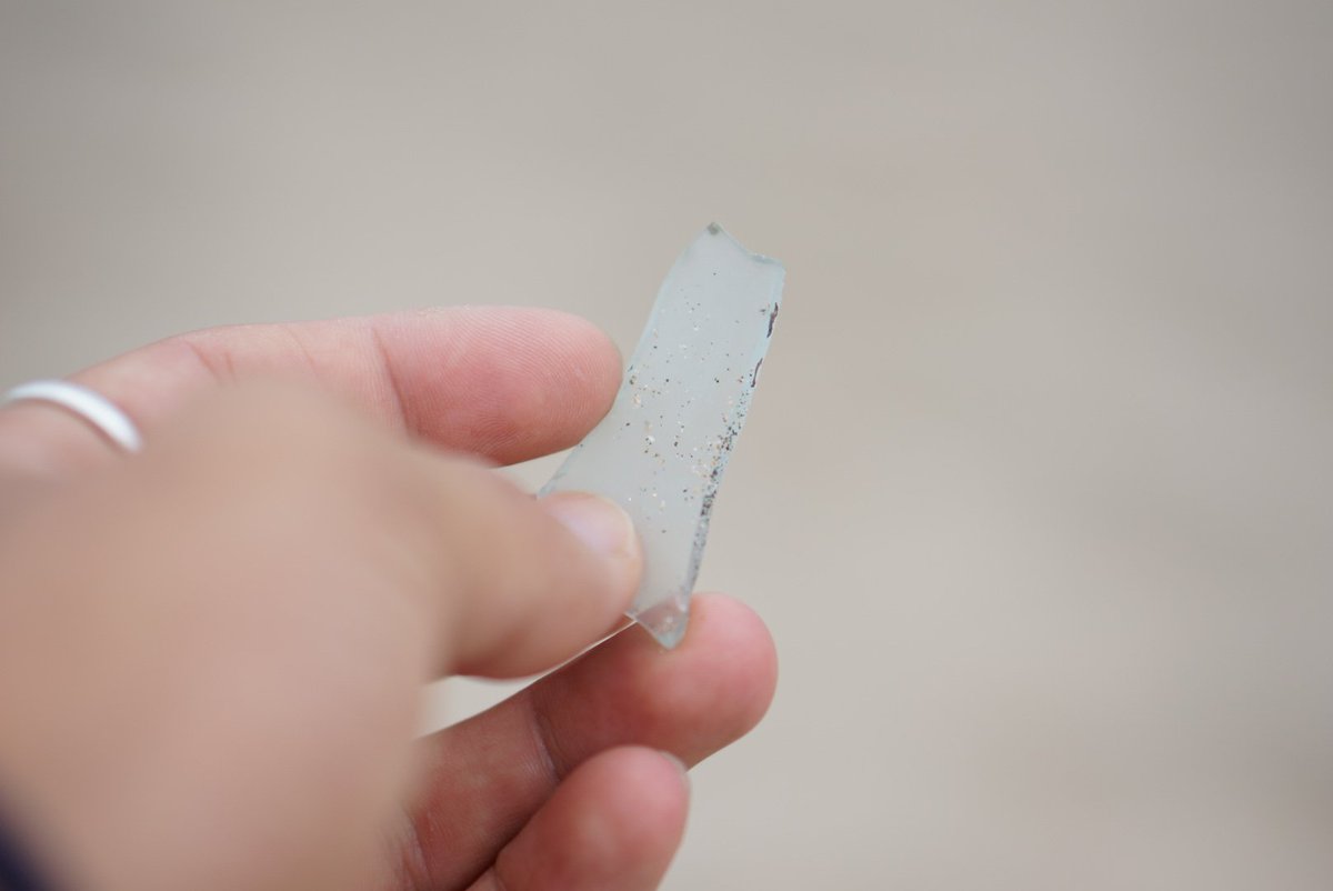 toshib9's tweet image. 海のゴミ達