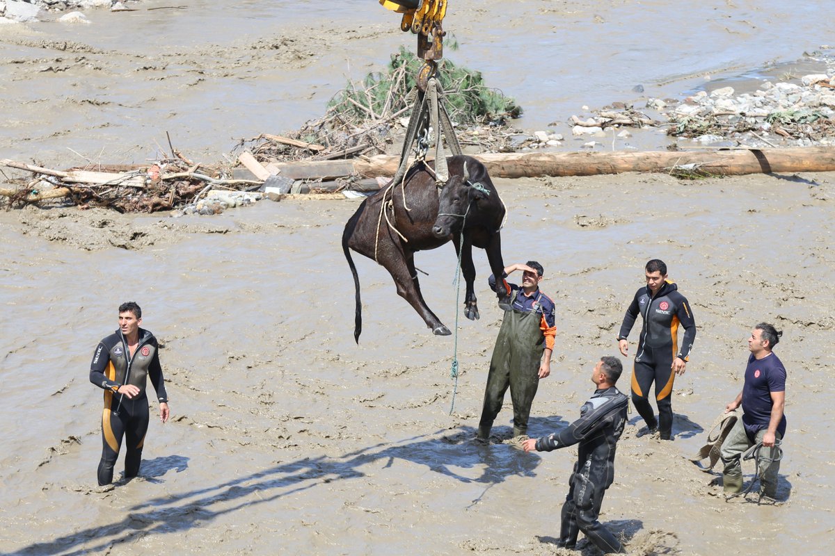 Sel, ne bulduysa alıp götürdü. İnsanlar, arabalar, evler... 5'inci katlara kadar çıkan su birçok canı yuttu. 24 saat evin çatısında bekleyen kadın, başka bir evde kalan bebek, bataklığa saplanan inek kurtarıldı ama çamurun, molozun altında belki onlarca can var.