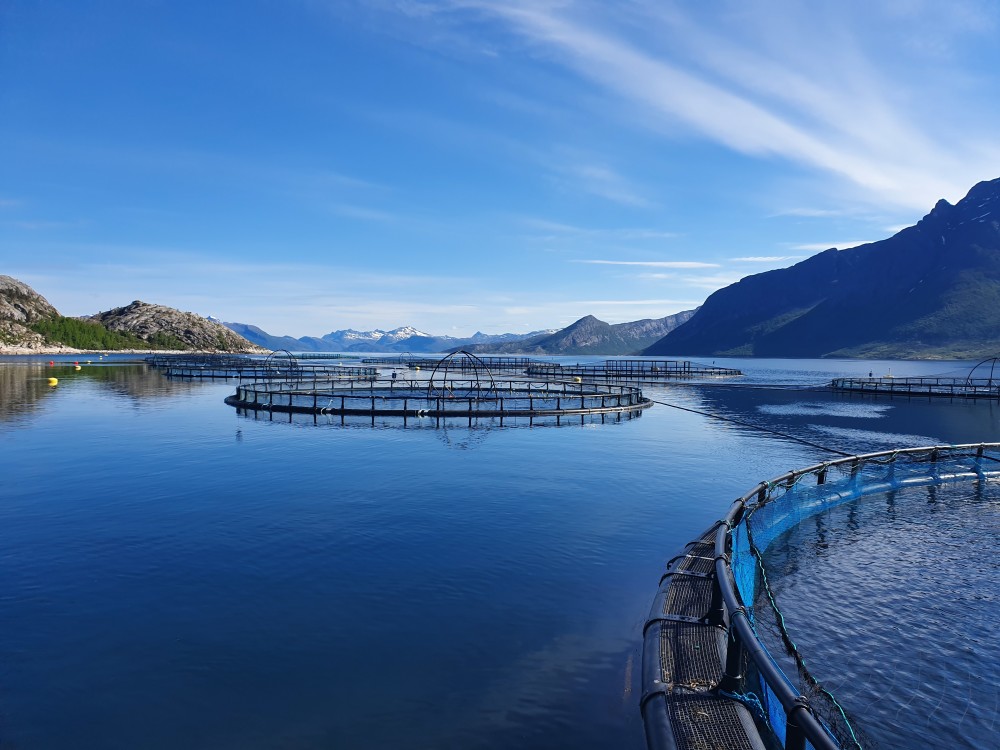 Cermaq Norway bruker 500 millioner for å kutte 35 prosent av klimautslippene mynewsdesk.com/no/cermaq-norw…