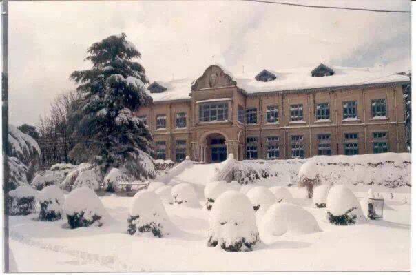 spkaur11's tweet image. Alma mater