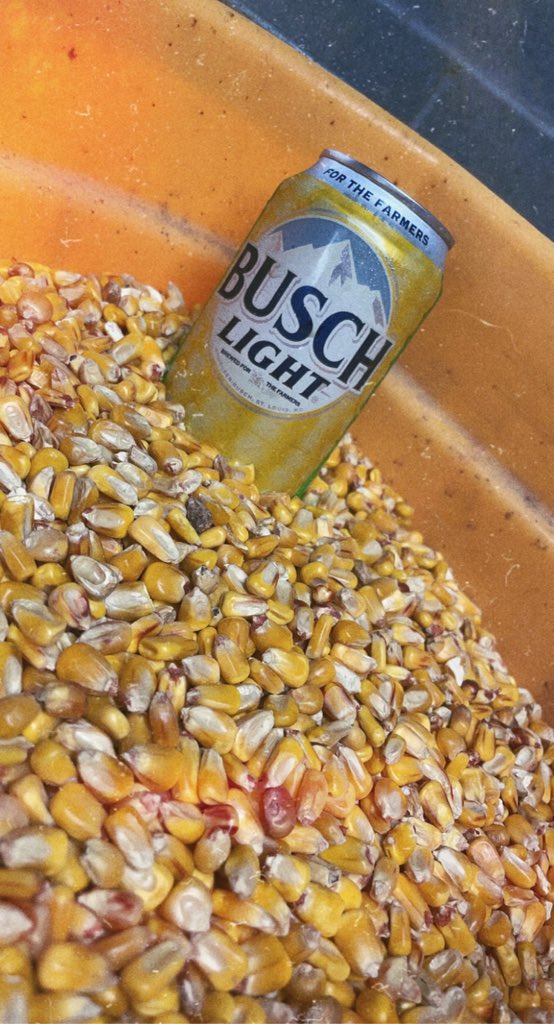 csdaniel30's tweet photo. @BuschBeer Thats money dude https://t.co/E6LZPhPPlN