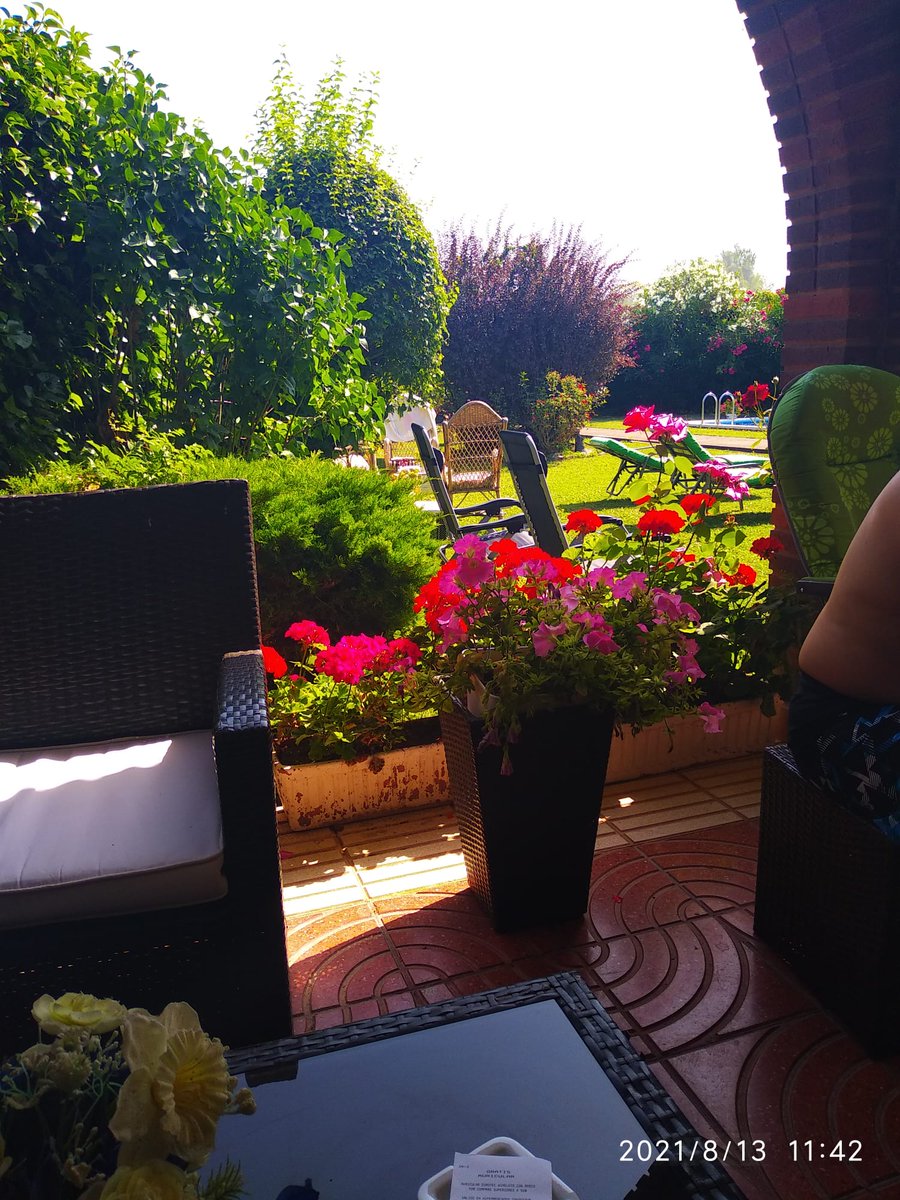 Pequeños Placeres de la Vida...
Un buen desayuno y día de piscina y Relax.

#BuenosDias