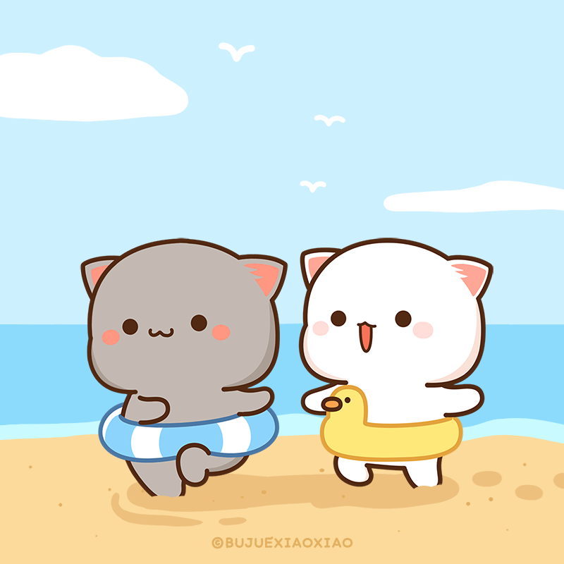 ももねこちゃんとごまくん Momoneko Goma Twitter