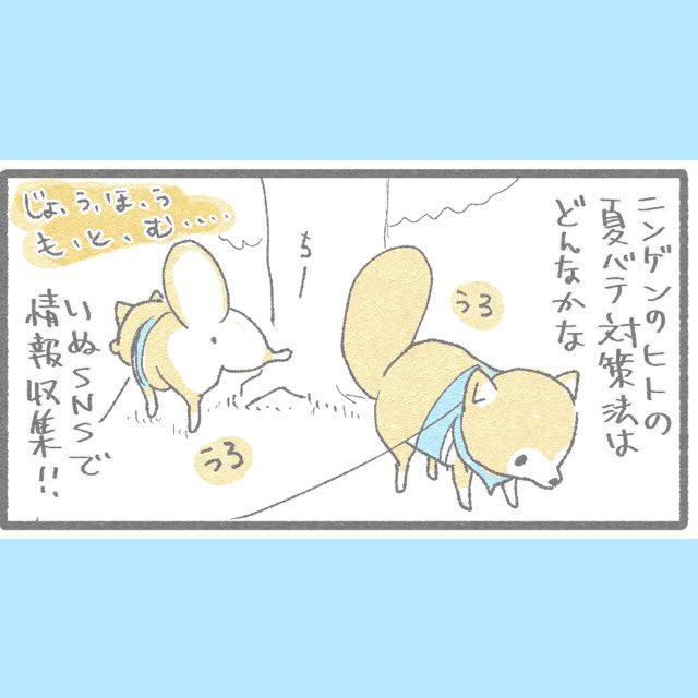 おかさんの夏バテ解消法‼️

https://t.co/Gy5NaSNBId 