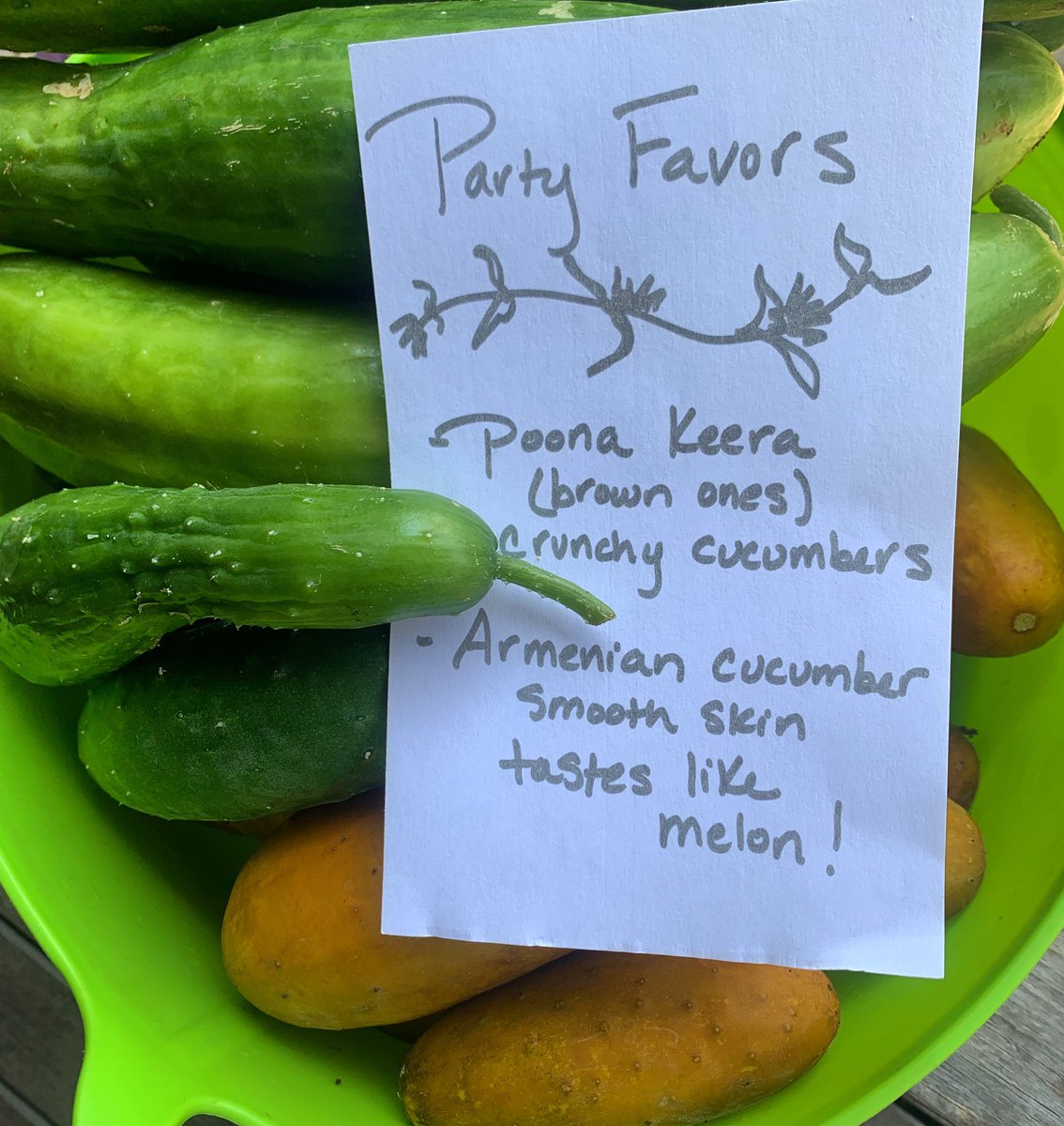 Laurie_David's tweet photo. Our Party favors from luncheon! #organic #veggies #imagineitbook #clever #cukes https://t.co/7GGhErUtS9