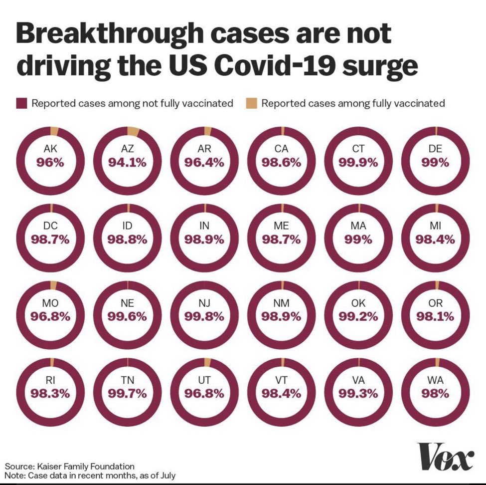 shorejaneshore's tweet image. Visualize it.  Such a clear, powerful message here, @voxdotcom 

#schoolofthought #visualizeit