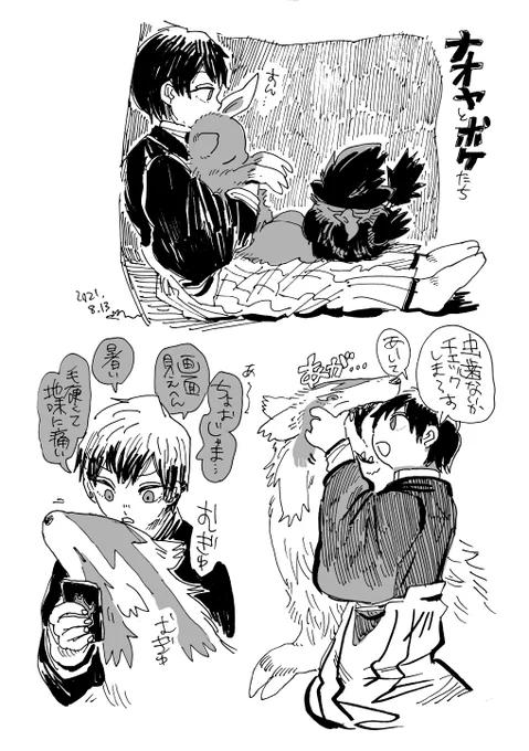 ナオヤとポケたち 