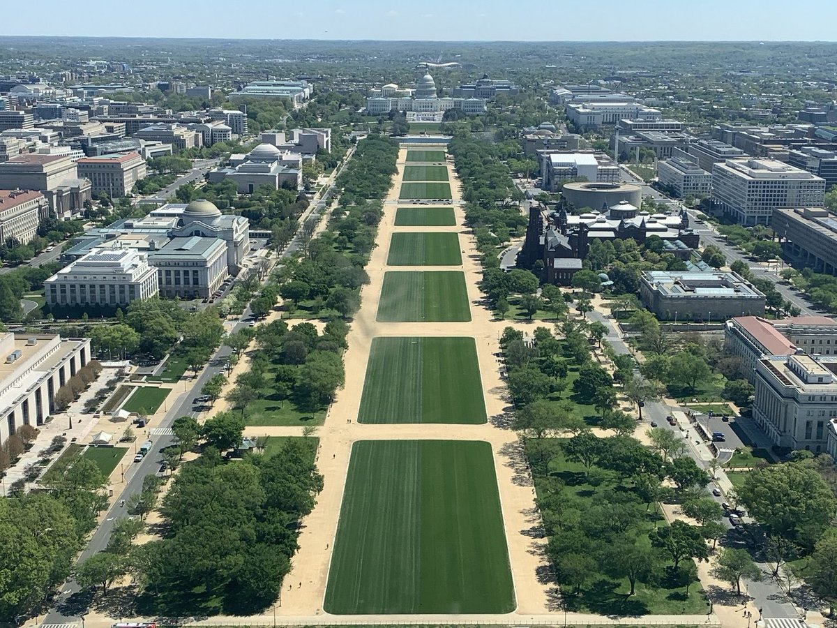Jodiannoyed's tweet image. Look at the crowds for Donald Trump!! #ReinstatementDay