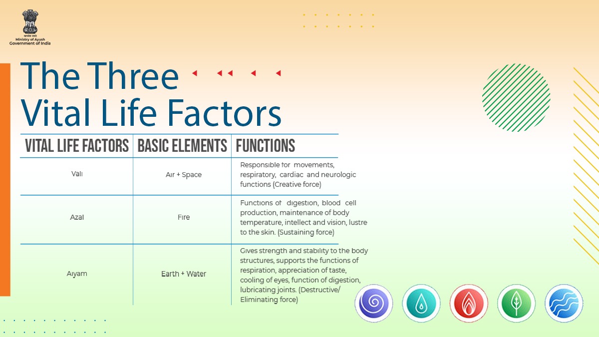 moayush's tweet photo. The three vital life factors or functional constituents are essentially formed by appropriate combination of five elements even from intra-uterine life. These components are as follows - Vali (Vatam), Azal(Pittam) and Aiyam (Kapam). 
Let’s discuss them in detail below: https://t.co/x9XbVYdFy5