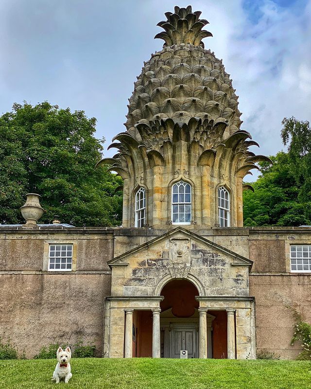 VisitScotland's tweet photo. Did YOU know that pineapples were grown in #Scotland in 1713?! 🍍🤯 #RespectProtectEnjoy 📍 The Pineapple, Dumore, @VFalkirk 📷 IG/theweewhitedug https://t.co/KYpFdCLs8L