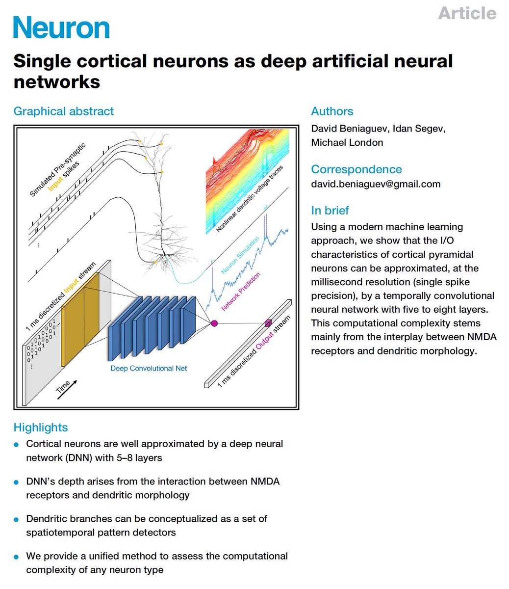 Out work about 'Single Cortical Neurons as Deep Artificial Neural Networks' was finally published in Neuron With @mikilon and @Segev_Lab @NeuroCellPress paper: bit.ly/3CJic8E code: bit.ly/3CJUeKv data: bit.ly/3xIm6uW All new results in thread below