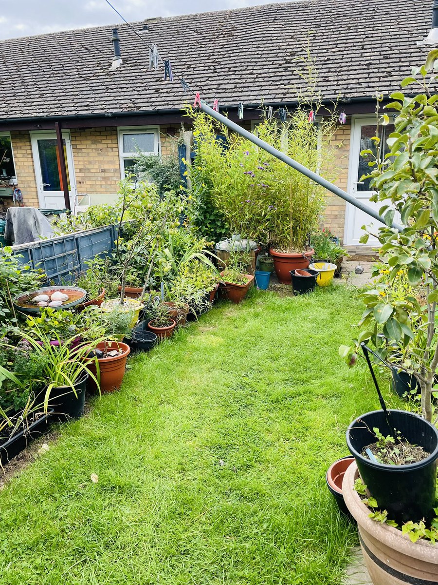 HoE In Bloom tweet media