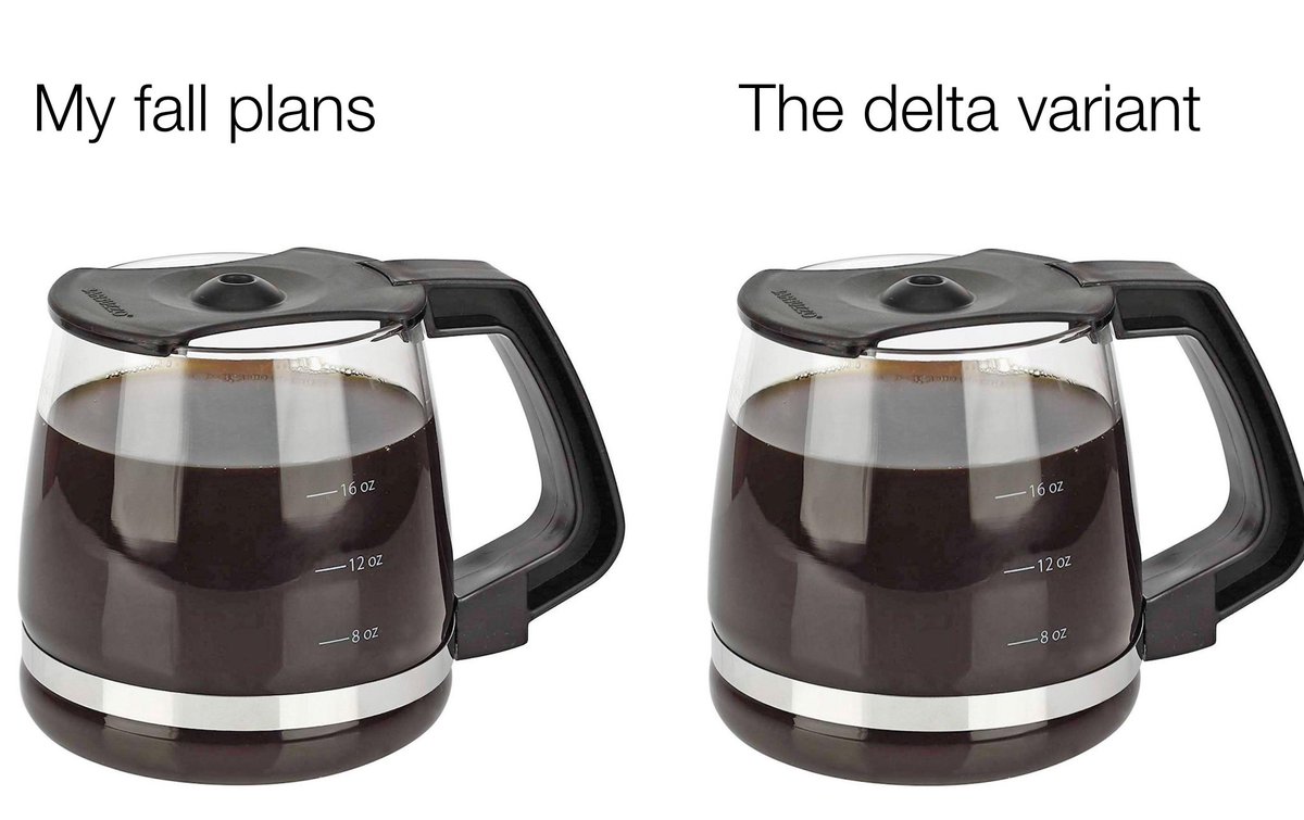 BarstoolBigCat's tweet image. 