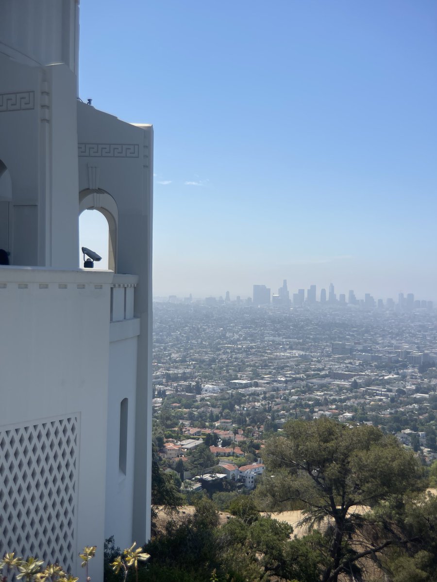 Swopes's tweet photo. “Giraffes in Los Angeles”  is available as a single edition. The winner will receive a trip to LA, a @moment lens kit, a private conversation with @alihirola of @hirola_program, and BTS video of editing process. #NiftyGateway #SwopesGiraffe https://t.co/MBr5iQD5Nj