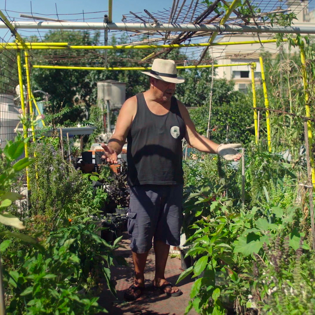 LaCasaEncendida's tweet photo. Un festival sobre huerta y ciudad para conocer de forma lúdica el universo agrourbanita de nuestras ciudades 🧄Encuentros, salidas, y gala de Finalistas de la VI Edición del #HumusFilmFest
Coordinado por #AlbertoPeralta 
📆25 septiembre - 4 octubre
https://t.co/7rnjwJ3Kao https://t.co/dOrsQVS0Kf