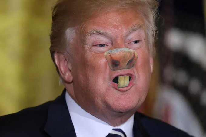 Just a reminder, Trump got the Regeneron monoclonal antibody treatment produced from Chinese hamster ovaries, and he looks okay. 😂🤣 @RonDeSantisFL 
#GetVaccinated