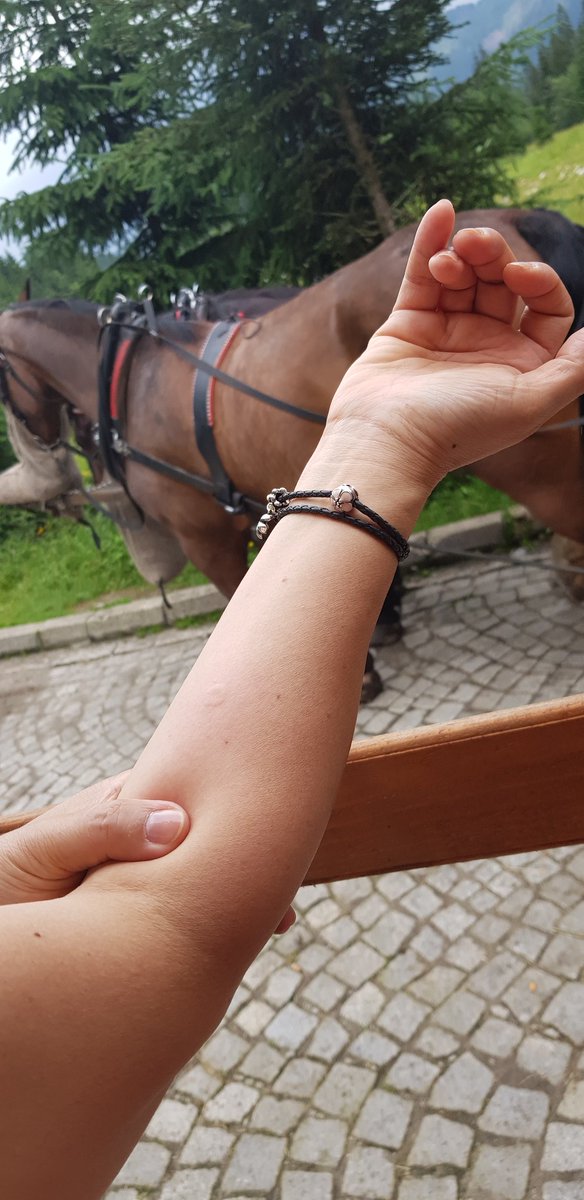 uaremyman's tweet photo. 2018.7.28 오후.
폴란드 Balzera 지역 빙하호수 보겠다며 꾸역꾸역 산 정상까지 걸어올라갔다가 힘들어서 내려갈 땐 마차탈려고 기다리던 내게 느닷없이 봉침을 꽂고 그 자리에서 전사한 폴란드계 벌. 🐝
이 무슨 확률이란 말인가. 순수천연유기농 봉침을 whole로 그 날 맞았던것이다. OMG!!
🤣🤣🤣😇 https://t.co/zTvSz6sKWf