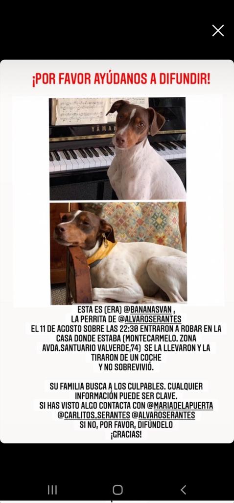 Por favor, cualquier persona que sepa algo que reporte a <a href="/PuertaMaria/">maria de la puerta</a>. Este crimen no puede quedar impune.