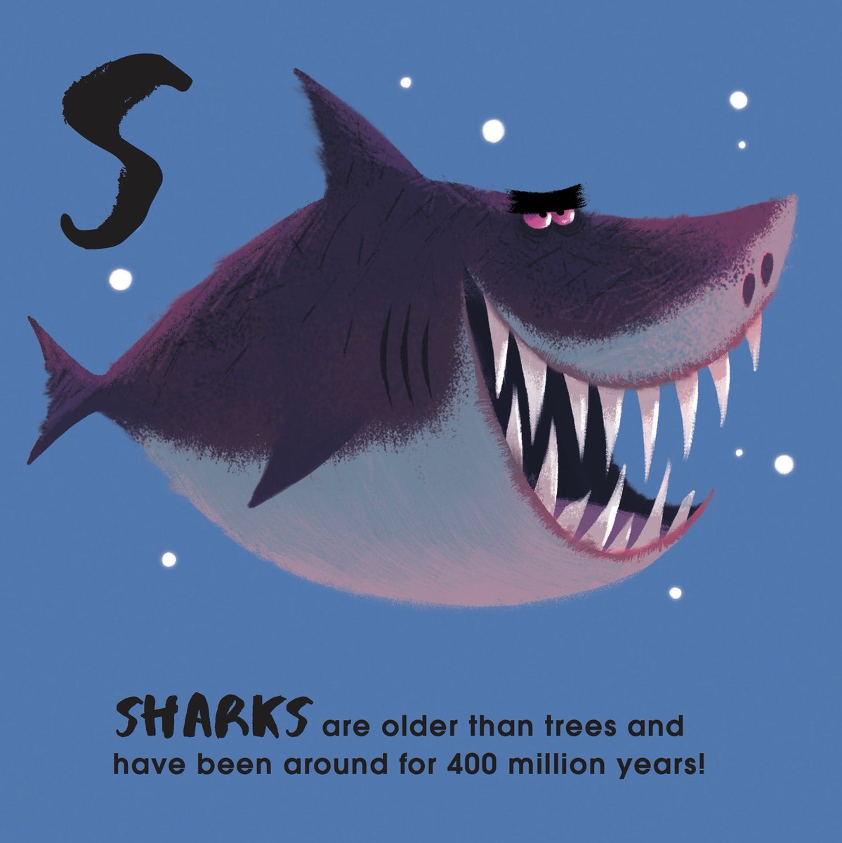 nikolas_ilic's tweet photo. Some more spreads from my Animal ABC board book!🦎 🦭🦈 it’s already out in UK 🇬🇧 and officially comes out in the US 🇺🇸 and Canada 🇨🇦 August 17th! #animalabc #happyyak https://t.co/hOQcxan5tx