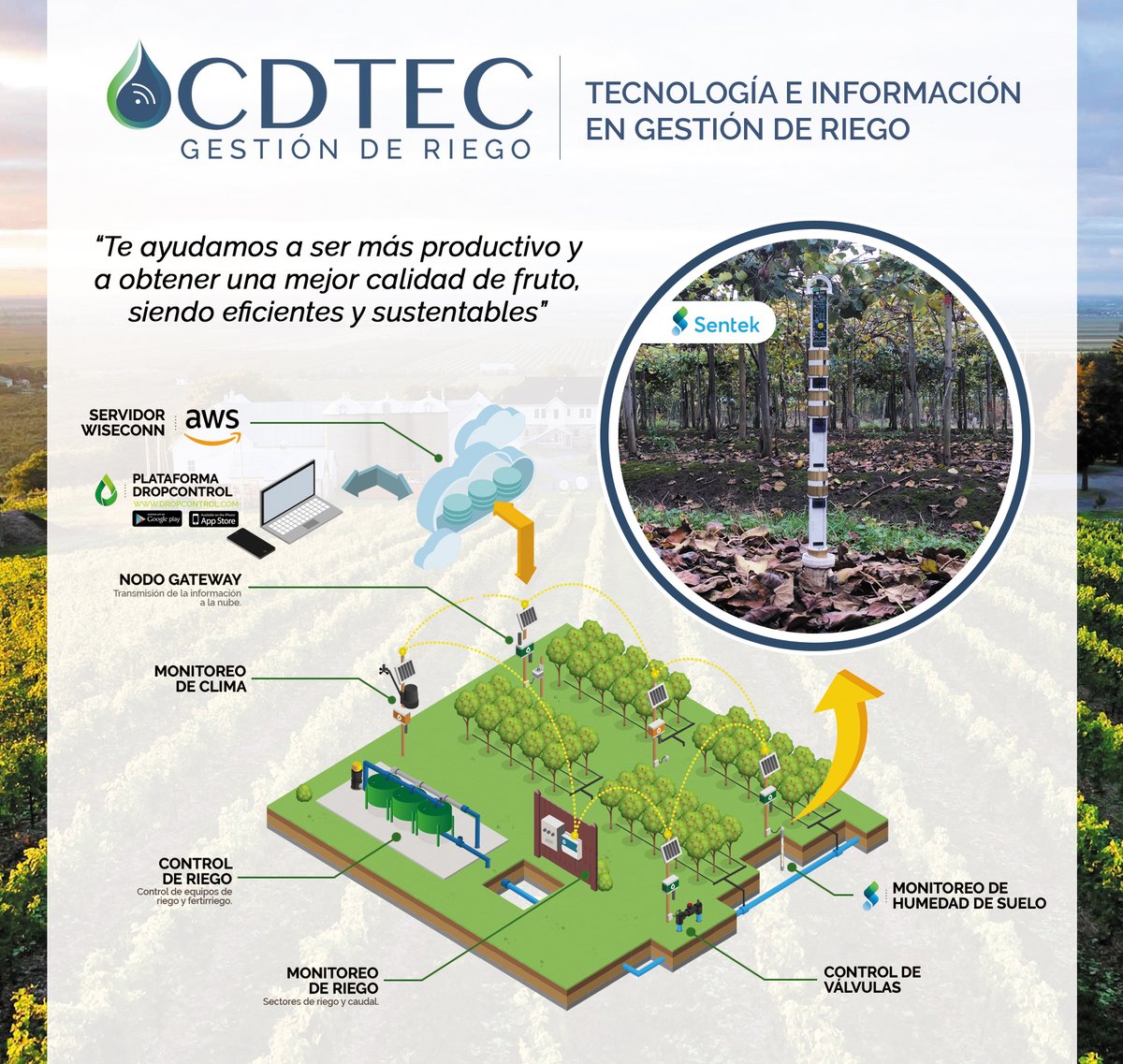 cdtec_chile's tweet photo. Te ayudamos a regar de forma eficiente y sustentable frente a los problemas hídricos presentes en el país, contáctanos enviando un correo a info@cdtec.cl o en nuestra web https://t.co/nHPsJVhbCU
#gestiónderiego #agronomía #fruticultura #eficiencia #sustentabilidad https://t.co/1e1xaAlbto