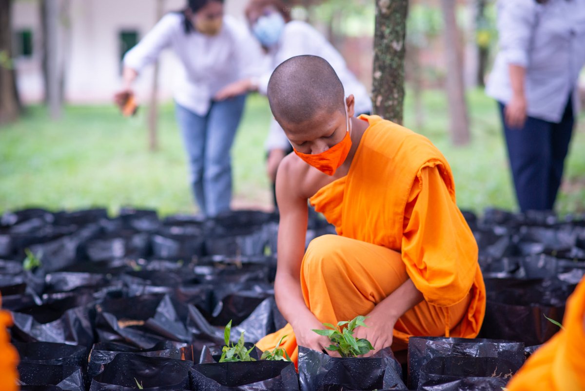 weeranan's tweet photo. วัดพระธรรมกาย จัดโครงการปลูกพืชสมุนไพร สู้ภัยโควิด-19 เช่น ขิง กระชาย ฟ้าทลายโจร เป็นต้น เพื่อสุขภาพ ป้องกัน รักษา เยียวยา และฟื้นฟูร่างกาย โดยเริ่มปลูก #ฟ้าทะลายโจร กระจายตามศูนย์จังหวัดต่างๆ รวมกว่า 5,800 ต้น #โควิด19 https://t.co/6iM6m4zD9i