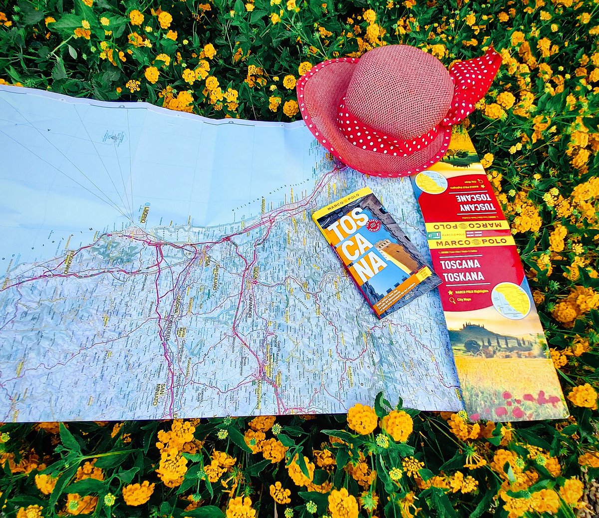 Signore e signori, ecco a voi le compagne di viaggio perfette. La nuova guida Toscana, la nostra carta stradale, una paglietta a piacere e questi meravigliosi fiori che crescono ovunque, le lantane, venute dal Sudamerica ad agevolare il nostro scatto...