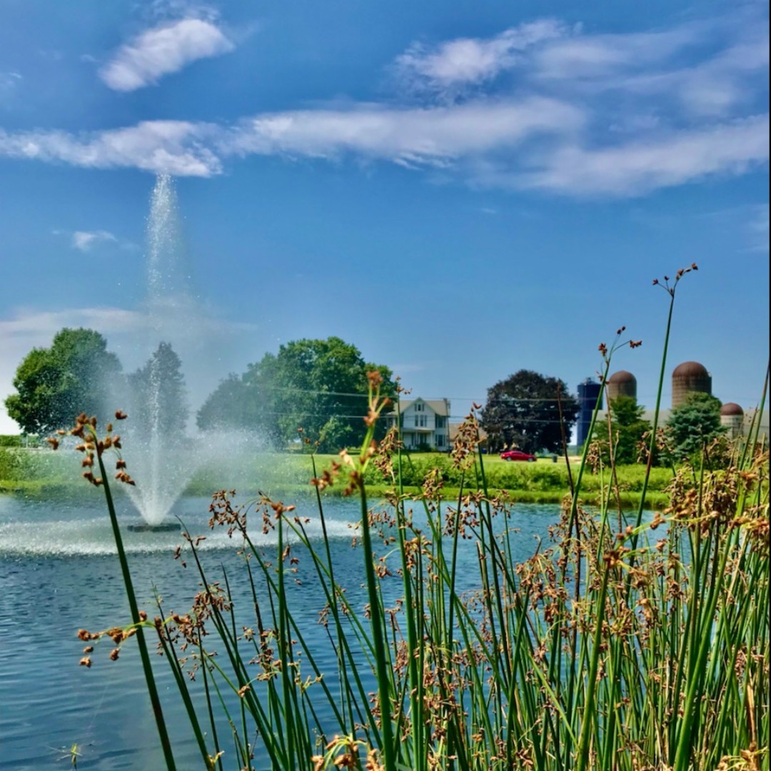 thepondandlake's tweet image. Happiness is a summer afternoon.

#healthypond #pondaerator #cleanwater #pondphotography #fountainpond #waterinmotion #pondhealth #floatingfountain #ellingtonct #ellingtonconnecticut #tollandcountyct #tollandcountyrealestate #tollandcounty