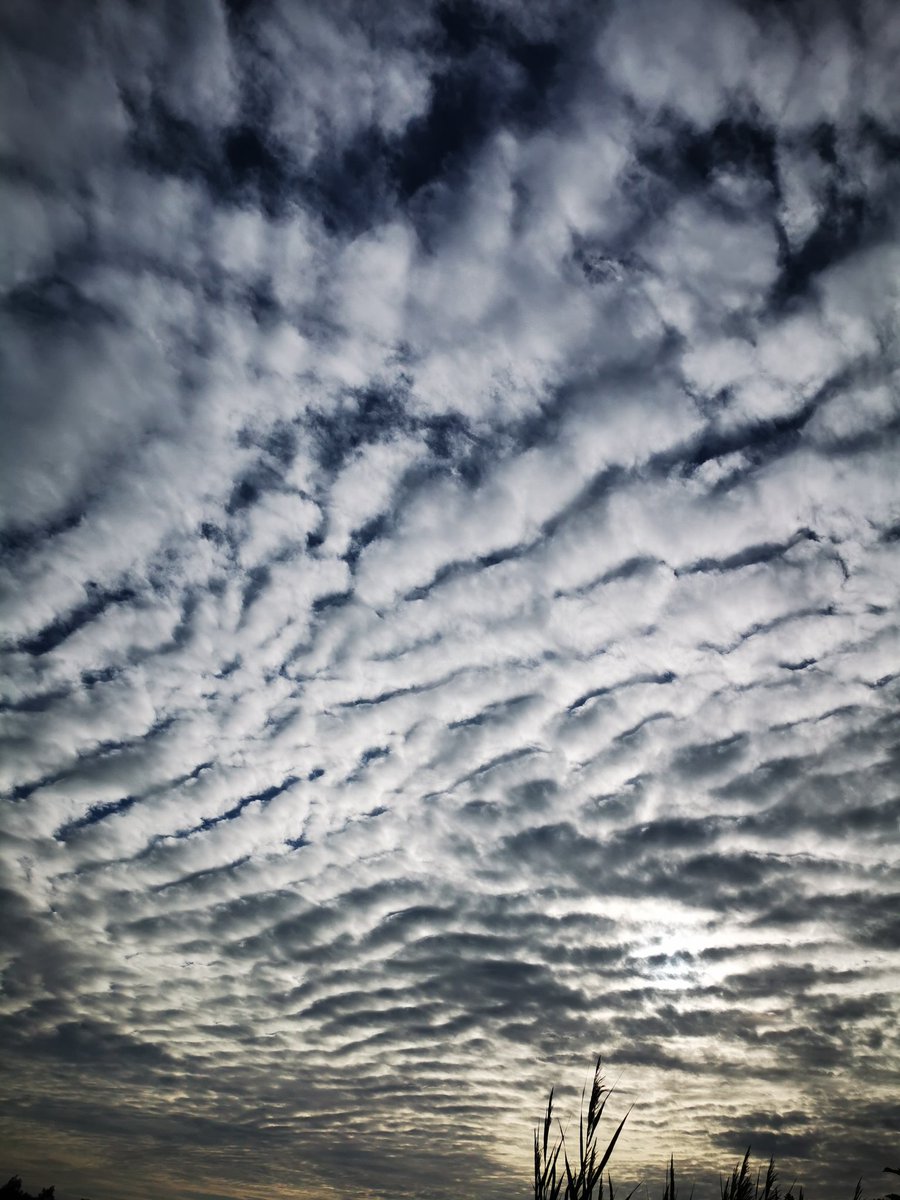 Paulus_Paulala's tweet image. Mooie #lucht boven #bussloo