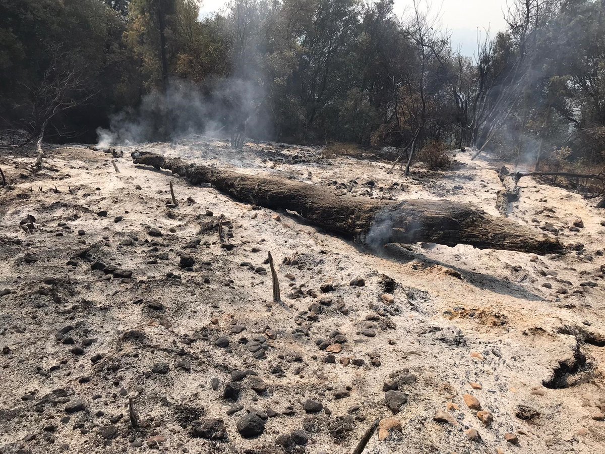 National Fire Chiefs Council tweet media