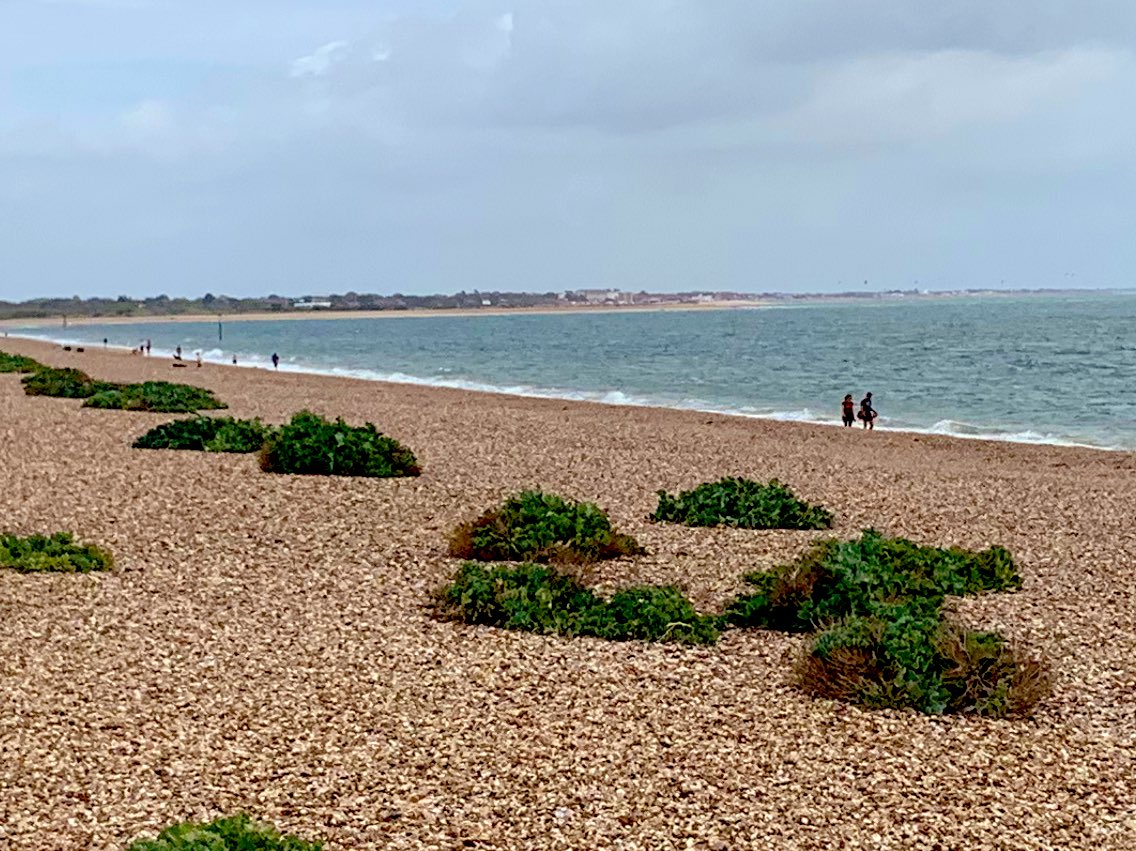 SharonKitcatt1's tweet photo. Day 13 #NursesActive allowed to walk 1 mile each day from today ๐ starting with a trip to @Southsea_Beach which would not be complete without cake from this fantastic place #the10thHole #hamstringrecovery #missingrunning https://t.co/AcVwTjJwEJ