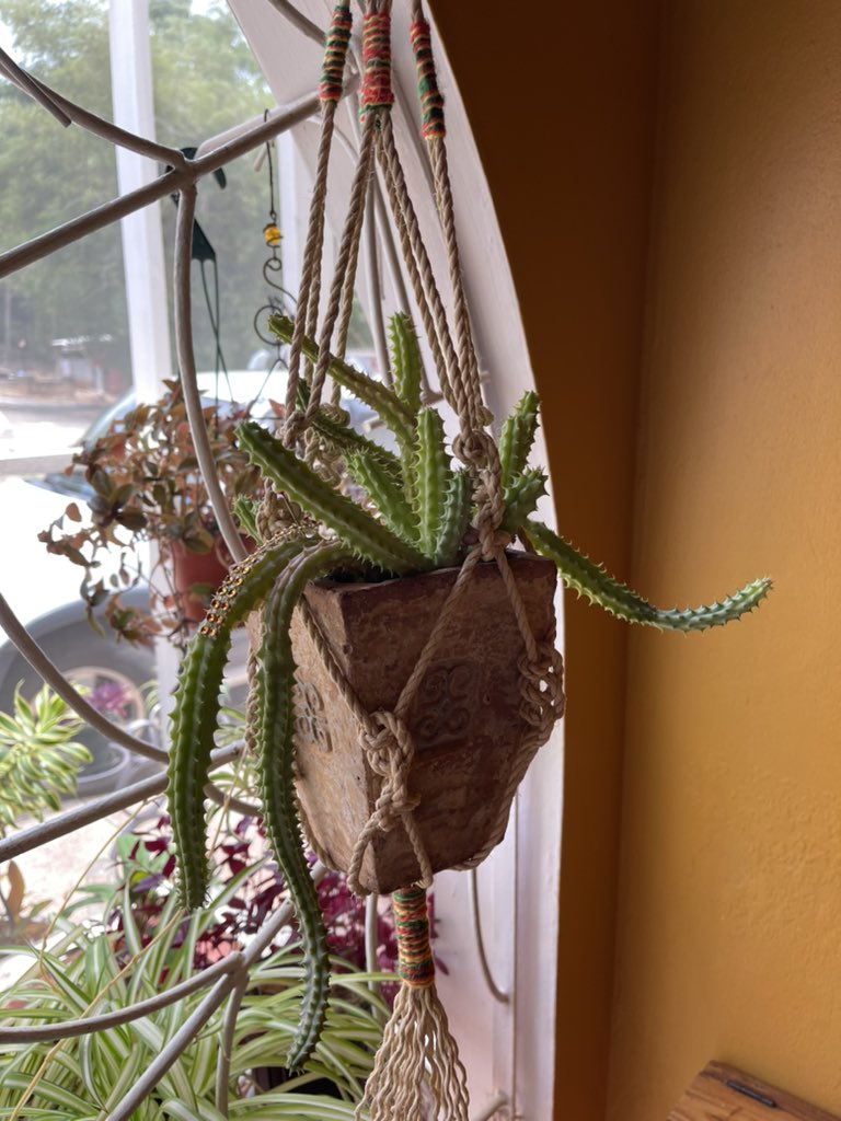 I knew I envisioned a succulent in this plant hanger. The angular Adinkra symbol pot fits perfectly into the corners of the macrame planthanger. #IMadeThis #ooak