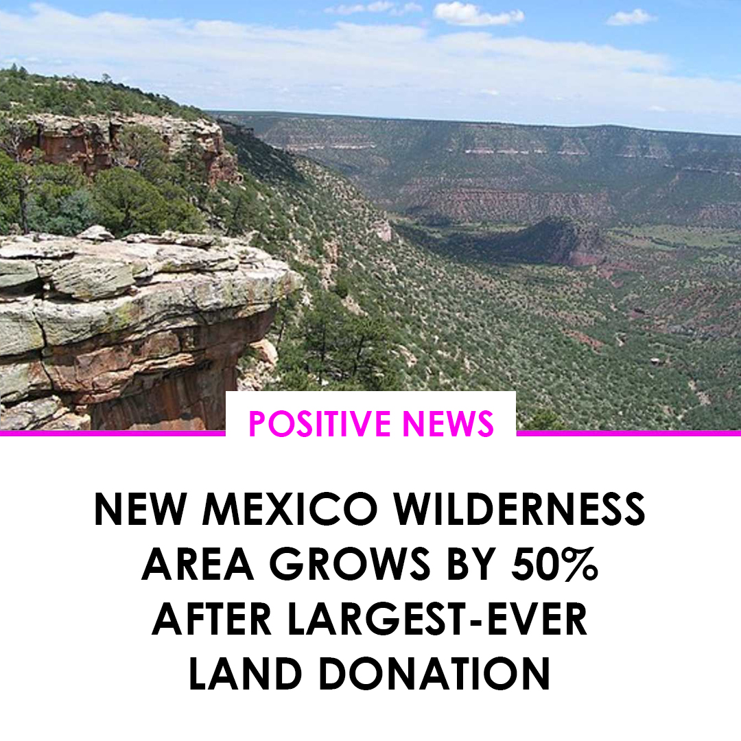 DisclosureFest™ (@disclosurefest) on Twitter photo Wonderful News! 🌎
Follow us <a href="/disclosurefest/">DisclosureFest™</a>
New Mexico Wilderness Area Grows by 50% After Largest-Ever Land Donation!
Read the full article here:
goodnewsnetwork.org/new-mexico-wil… Wonderful News! 🌎
Follow us <a href="/disclosurefest/">DisclosureFest™</a>
New Mexico Wilderness Area Grows by 50% After Largest-Ever Land Donation!
Read the full article here:
goodnewsnetwork.org/new-mexico-wil…