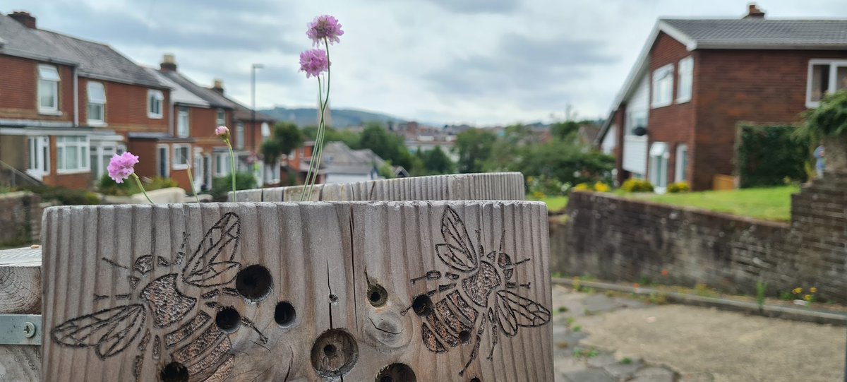 arcteam's tweet photo. @grassroofco @ianbugboyd Yay, nice one! @NigeGeorge 's @ArtecologyDept #biototems in Newport are doing well again this year too - took a quick look last week. Popular with spiders too! https://t.co/l8AJf0ZZdT
