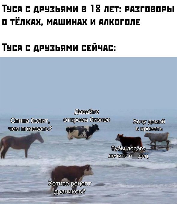 E8rAeq7WQAM9SSa?format=jpg&name=small