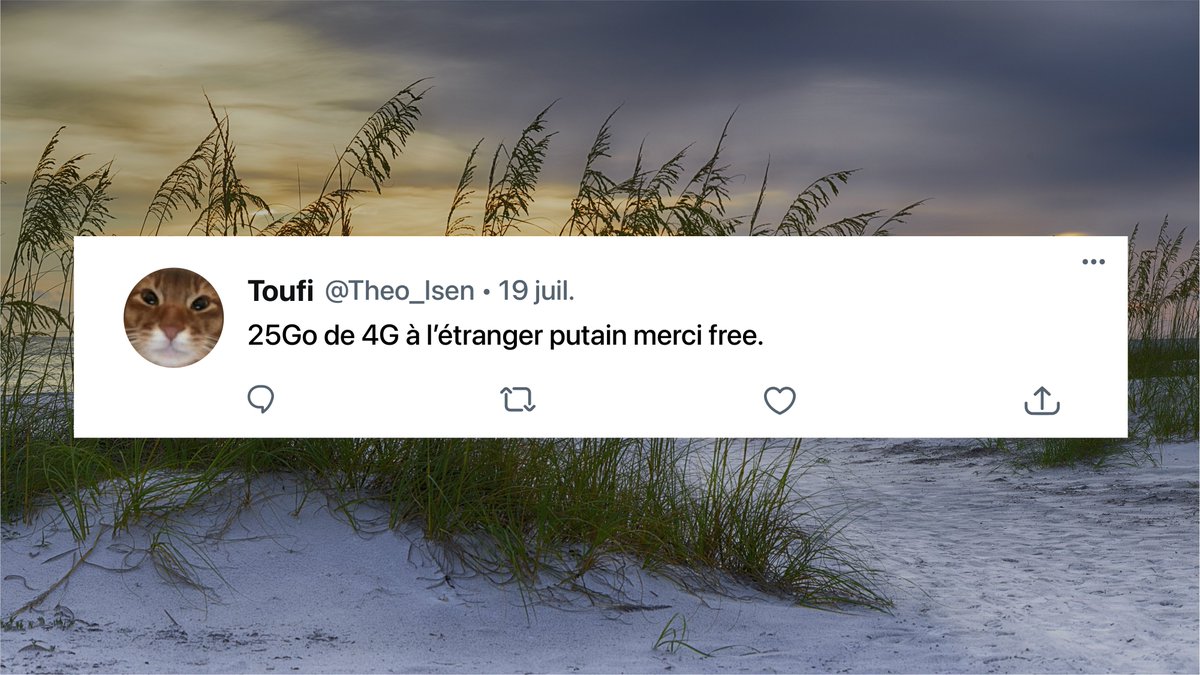 25Go de 4G à l'étranger_______ merci Free*