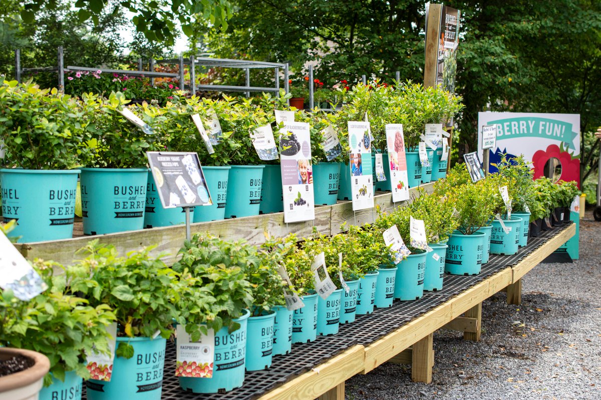 Bushel and Berry® tweet media