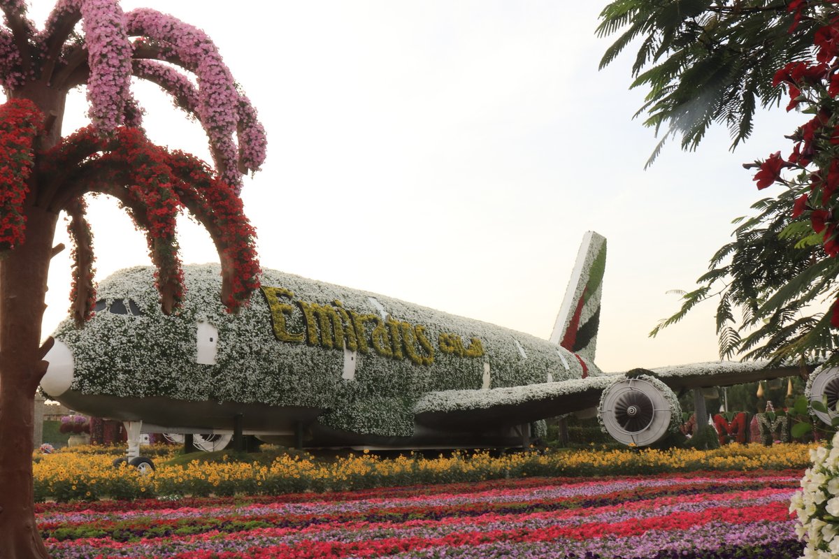 diretorwell's tweet photo. Até as flore voam.

#A380

#photo #photograph #foto #fotografia #fotografo #sensualidade #sensual #sexy #amor #love #modaintima #ensaiosensual #autoestima #casal #ensaiofeminino #ensaiofotografico #boudoir #photography #portrait #dubai #dubaimiracleworld https://t.co/ljl4O49rSo