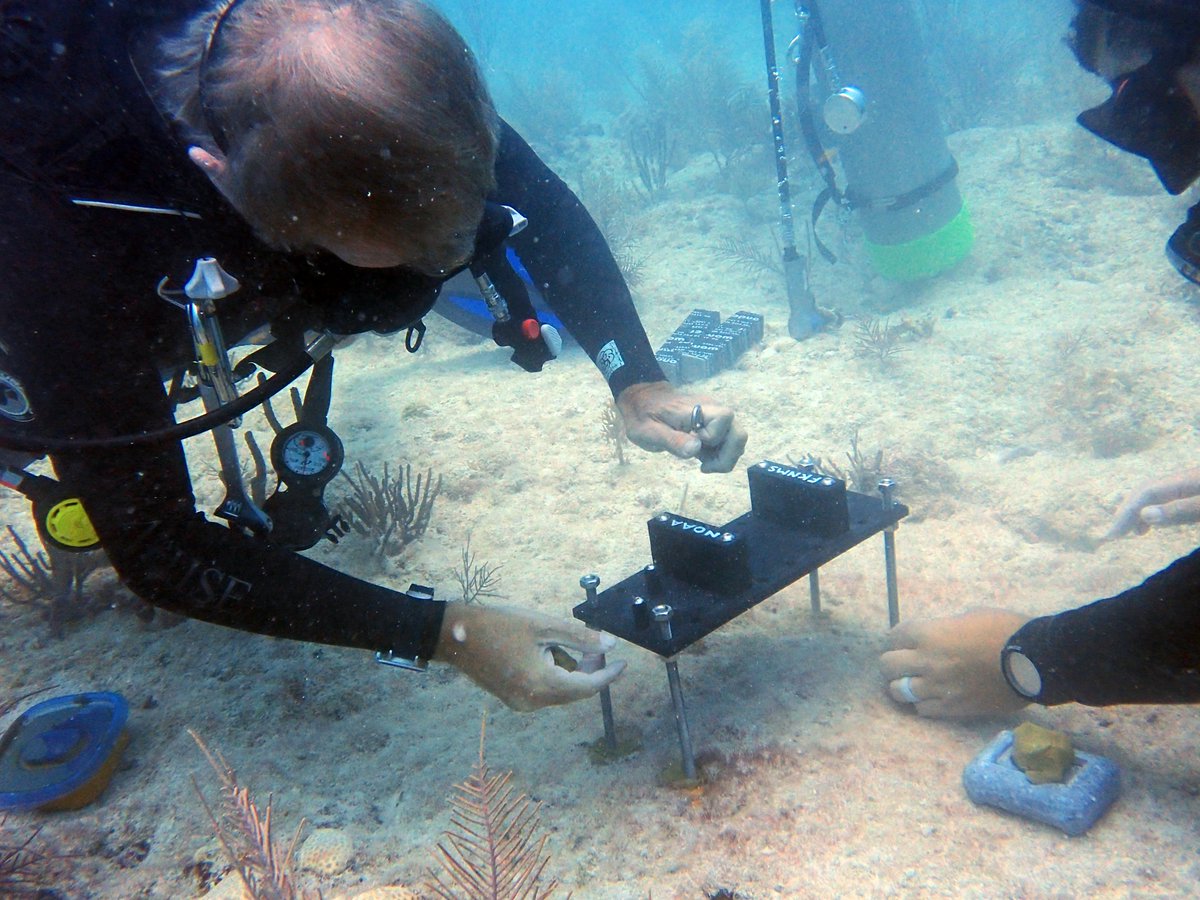 FloridaKeysNMS's tweet photo. How much did the reef mitigate wave surge from Tropical Storm Fred? This answer and others will come to light over the next four years as FKNMS and Duke University conduct a wave attenuation study, measuring energy flow on both sides of the reef. Permit #FKNMS-2021-122. https://t.co/YKVrwqJhYk