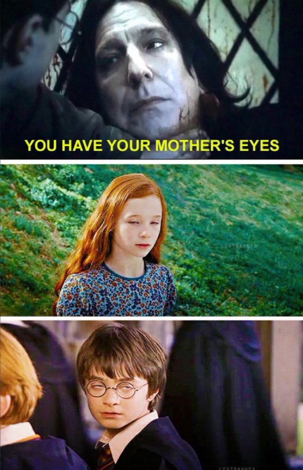Harry Potter Universe on Twitter: ""You have your mother's eyes."  https://t.co/fpdoSMiD2O" / Twitter