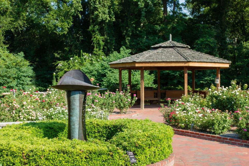 CHParksRec's tweet photo. Take some time to stop and smell the roses! 🌹Located at the Chapel Hill Community Center Park is the Strowd Rose Garden. Over 350 rose bushes are in full bloom right now! Check out this beauty today before it's too late! 

https://t.co/Tz6rStNM58 https://t.co/pm3pWT5SuU