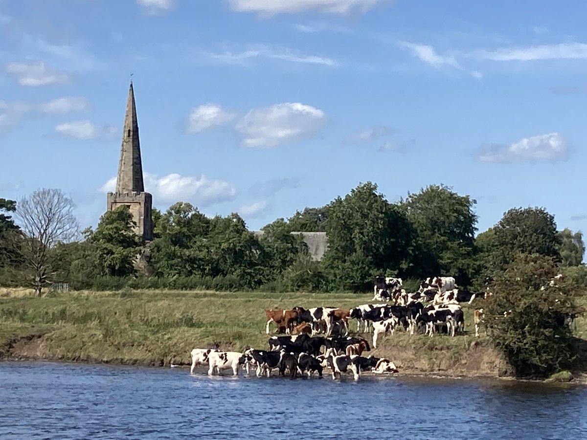 A different pace of life #StormHour #ThePhotoHour #Derbyshire #cows #Summertimevibes