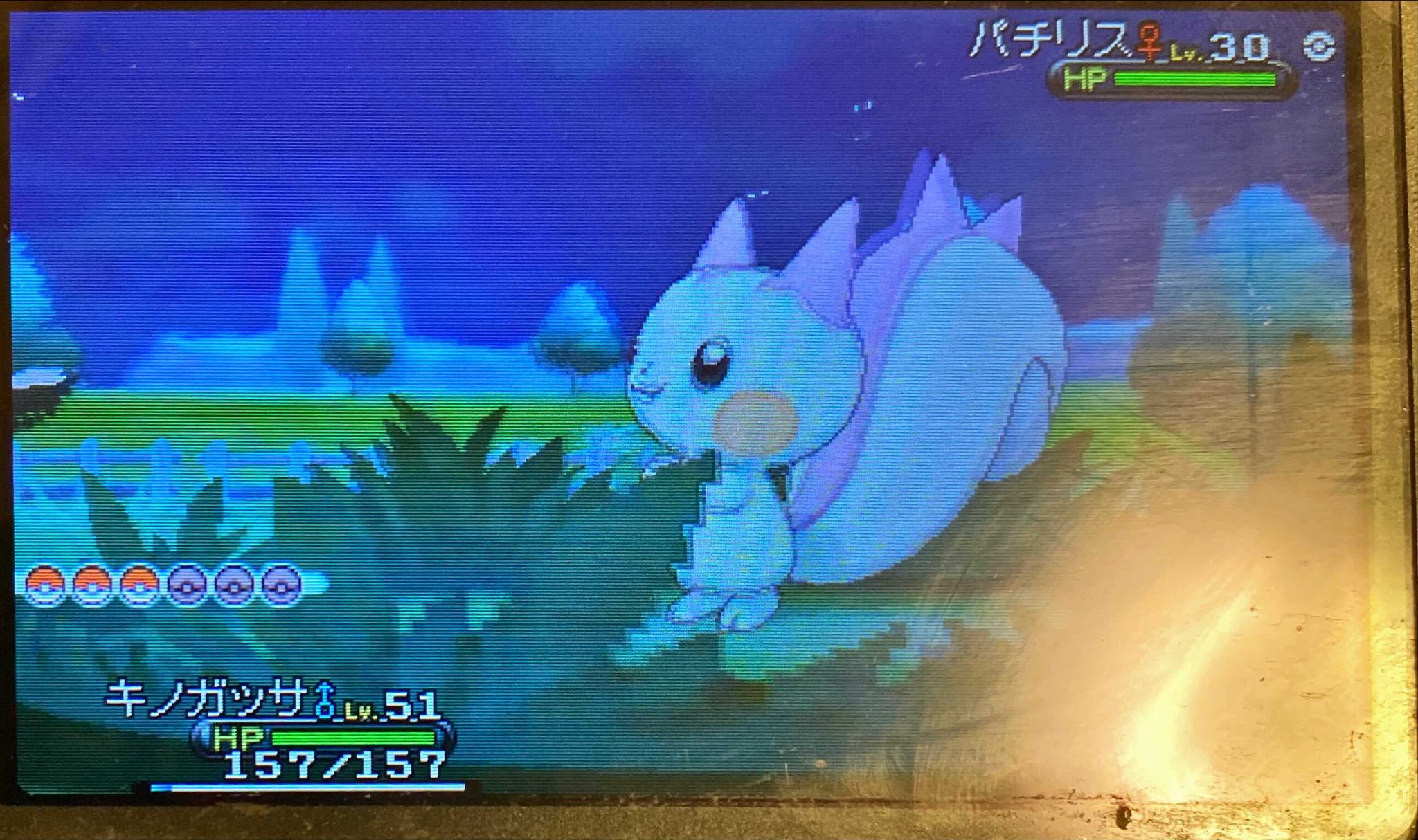 みっちぃtnアルタイル ポケ垢 フレンドサファリにて色違いパチリスgetしました 可愛すぎる フレンドサファリ 色違いポケモン T Co Hqjxzgwlxu Twitter