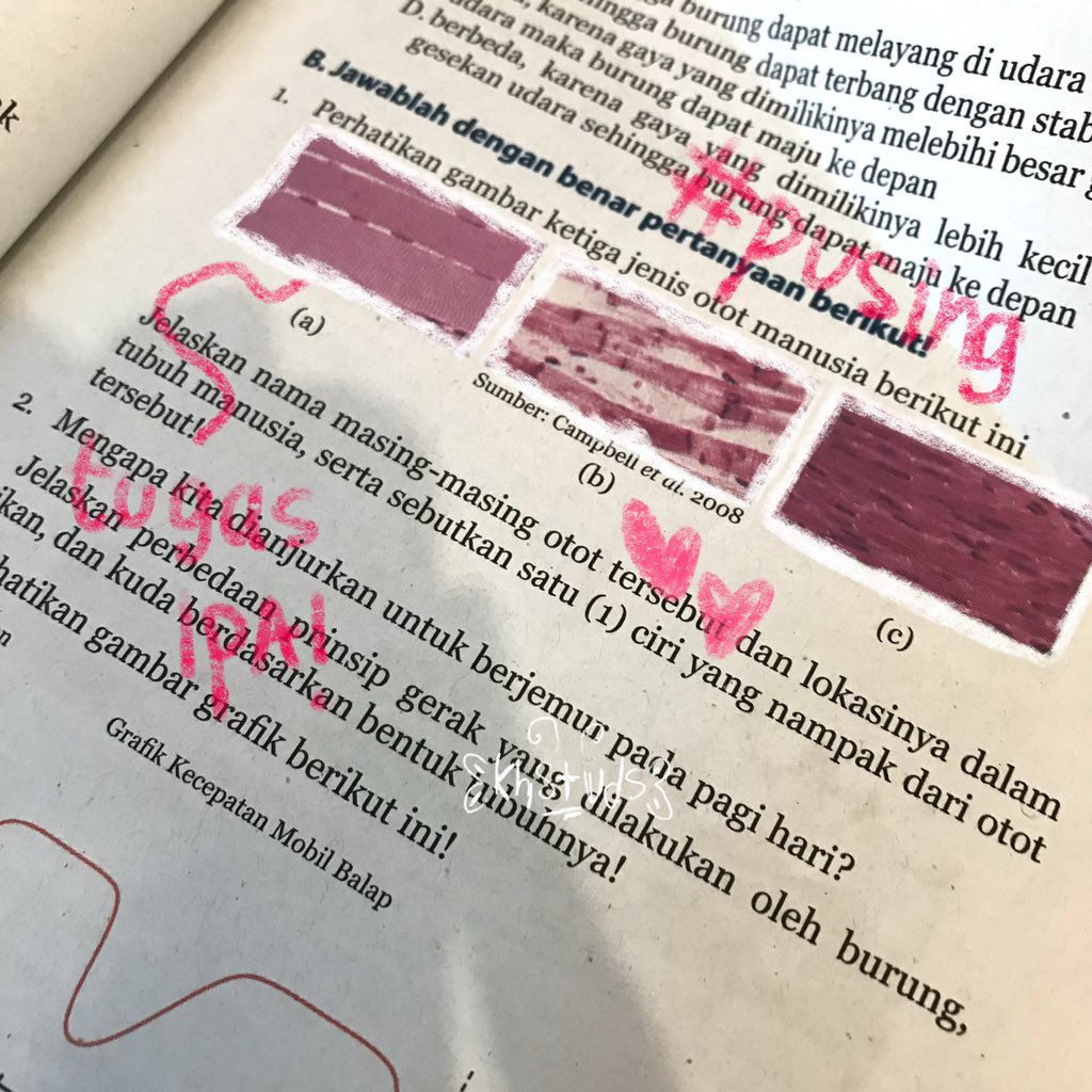 khstuds's tweet image. — 130821

Udh berapa lama yah aku gak up progress… anw aku hari ini full nugas! ipa &amp;amp; sbk hehe :p rest well all &amp;lt;3