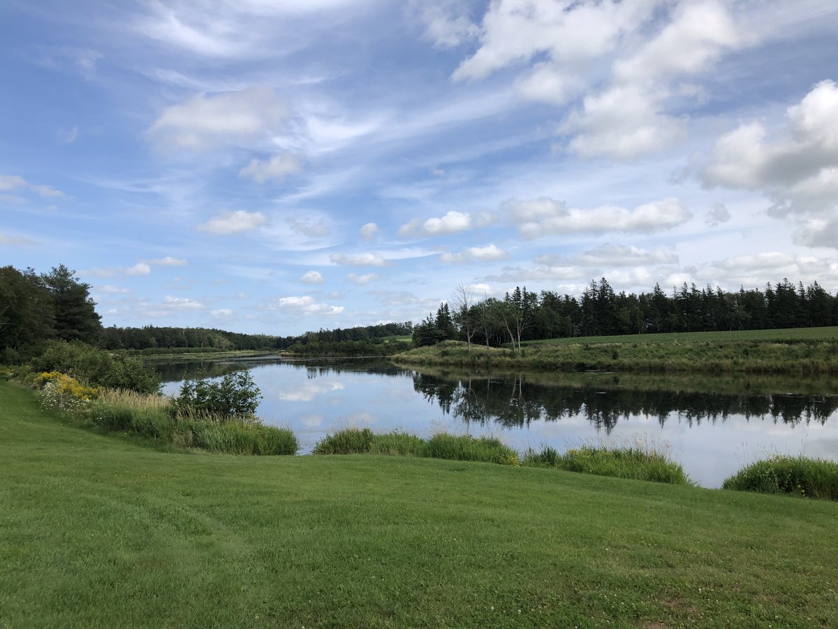 kaitscomfortkit's tweet photo. What a special, touching place to visit....my father's side of the family planted a tree in honour of Kait at the Int'l Children's Memorial Place in #PEI and I finally was able to visit. Lots of tears for Kait and all the trees honouring so many children.  https://t.co/phapqxoKTl https://t.co/F2YYpWal02
