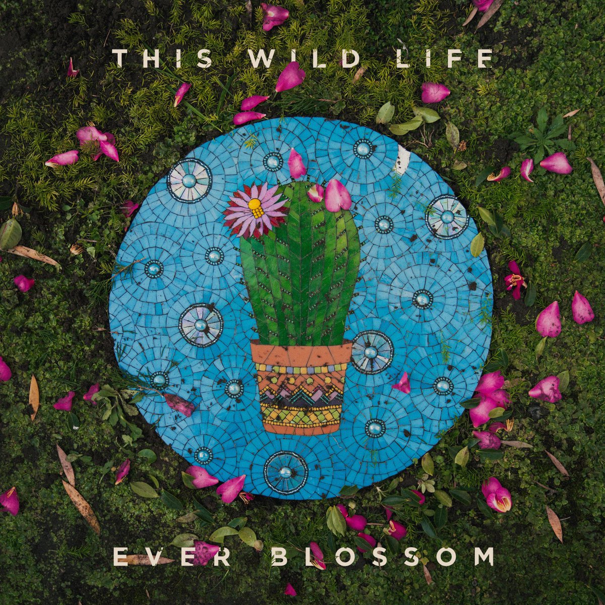 thiswildlife's tweet photo. Ever Blossom 10/15. Our fourth album and first DIY record is available for preorder now. Help support an independent TWL and pick up some limited vinyl and merch - Kev &amp; Anth

Only a few skate deck / Clash vinyl bundles are left so hurry! https://t.co/81EexUirnQ https://t.co/y7kBEgJ77y