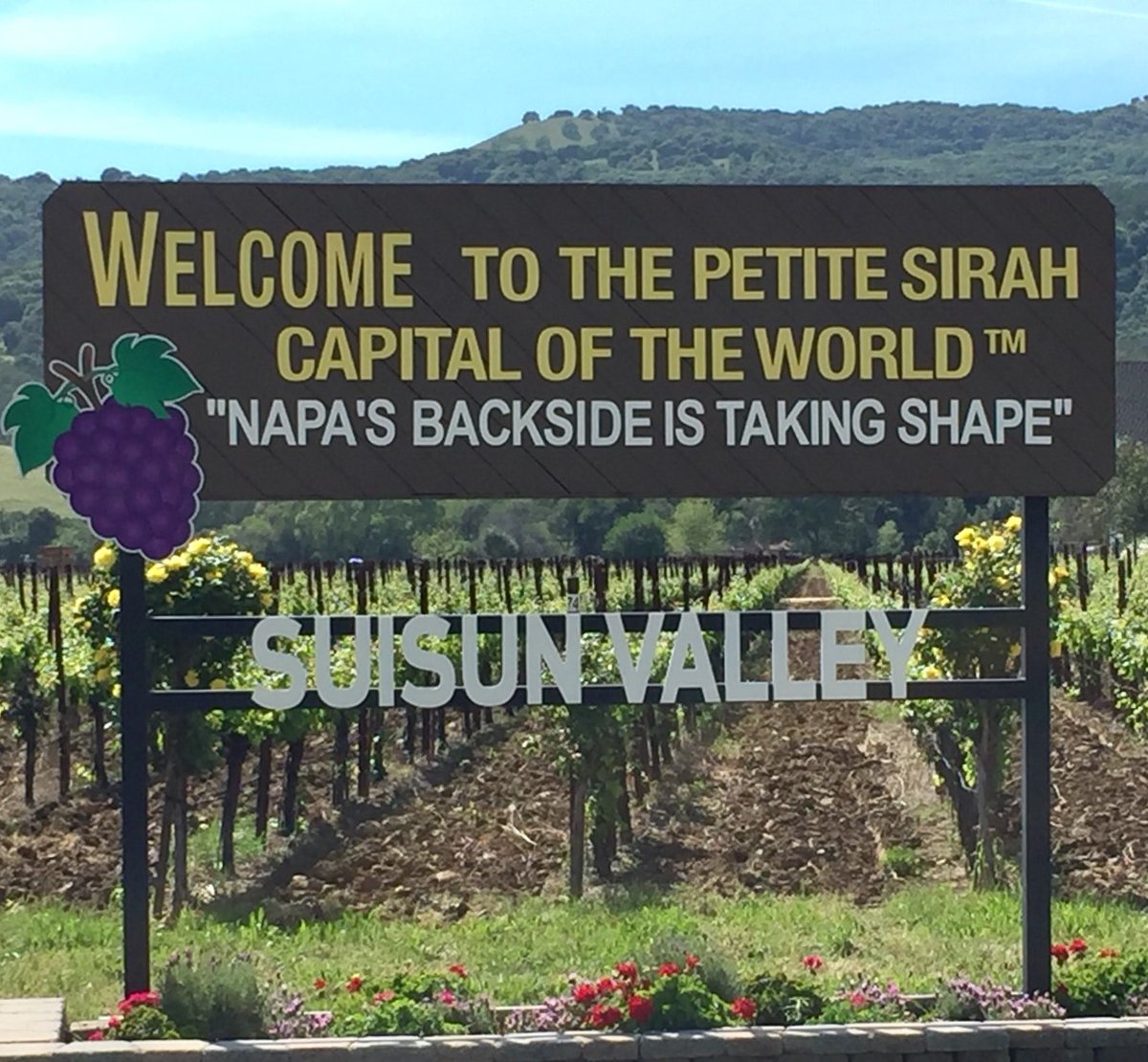 You have to love an AVA that has a sense of humor and the ability to make some kick A$$ wine! 
.
This coming Wednesday at 6pm PT, <a href="/winecommguy/">Nick Berube</a> and I will be continuing our conversation about #SuisunValley live on IG. Head to suisunvalley.com for more info! <a href="/suisunvalley/">suisunvalley</a>