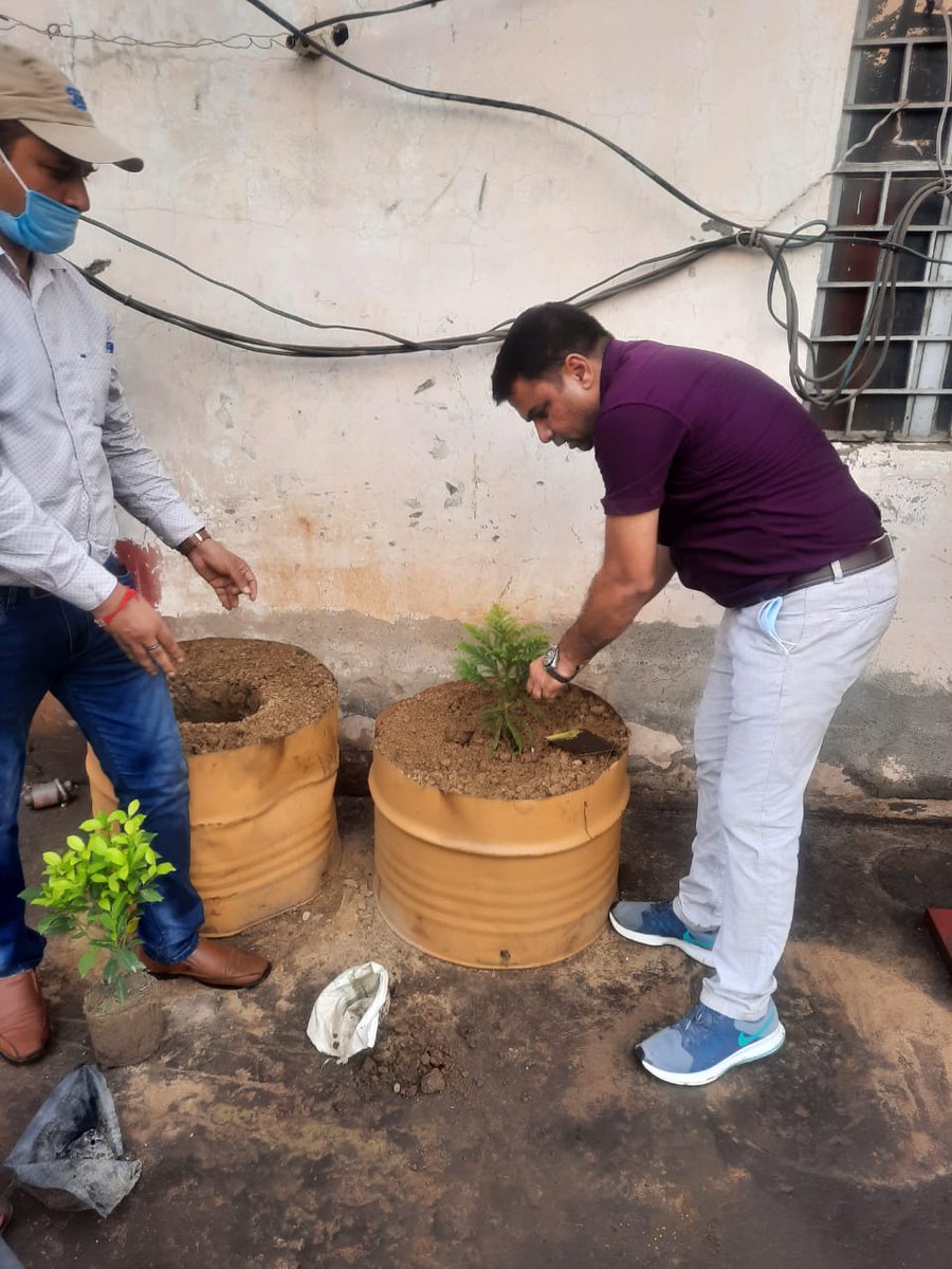 Plantation at workshop thanabhawan (Shamli) .